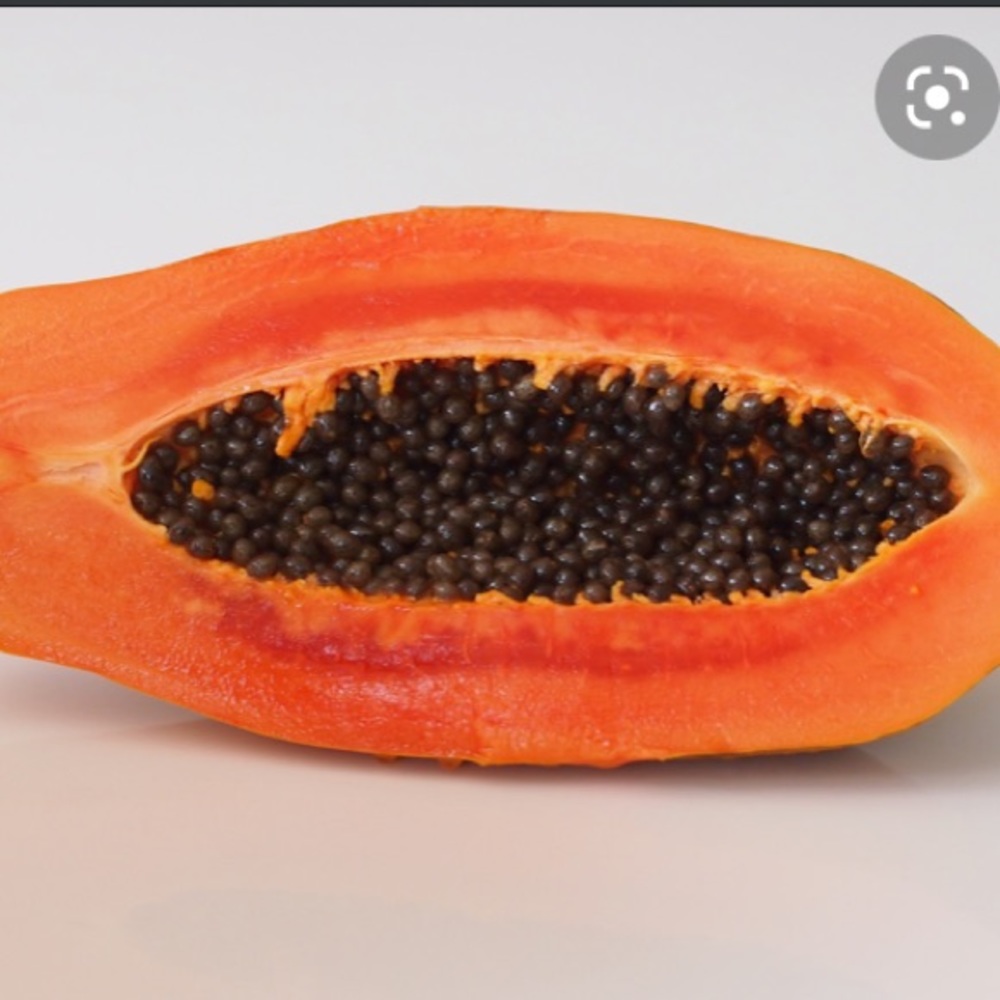 Meet your Posher, Maya